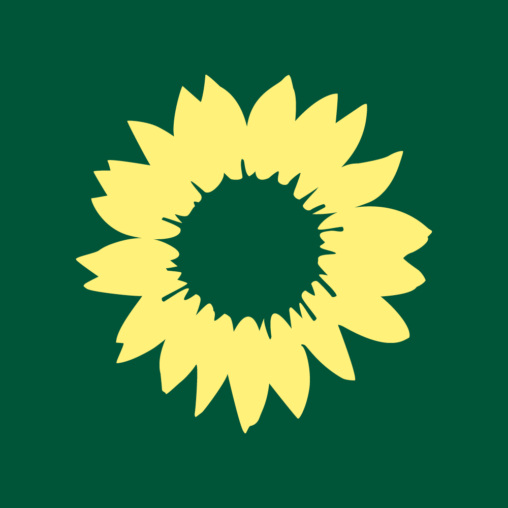 gelbe sonnenblume vor grünem Hintergrund