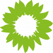 grüne Sonnenblume